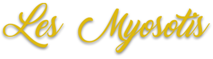 Les Myosotis Seurre